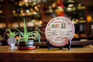 茶叶爆料视频大全集最新,揭秘茶叶界的秘密与传奇