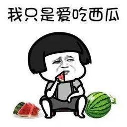 娱乐吃瓜圈,揭秘明星幕后故事与热点事件